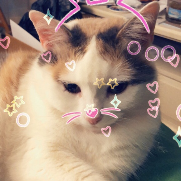 Meet your Posher, Colleen - Picture 3 of 4